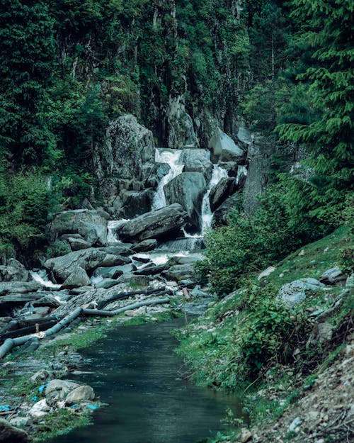 Foto profissional grátis de árvores verdes, cascata, corrente