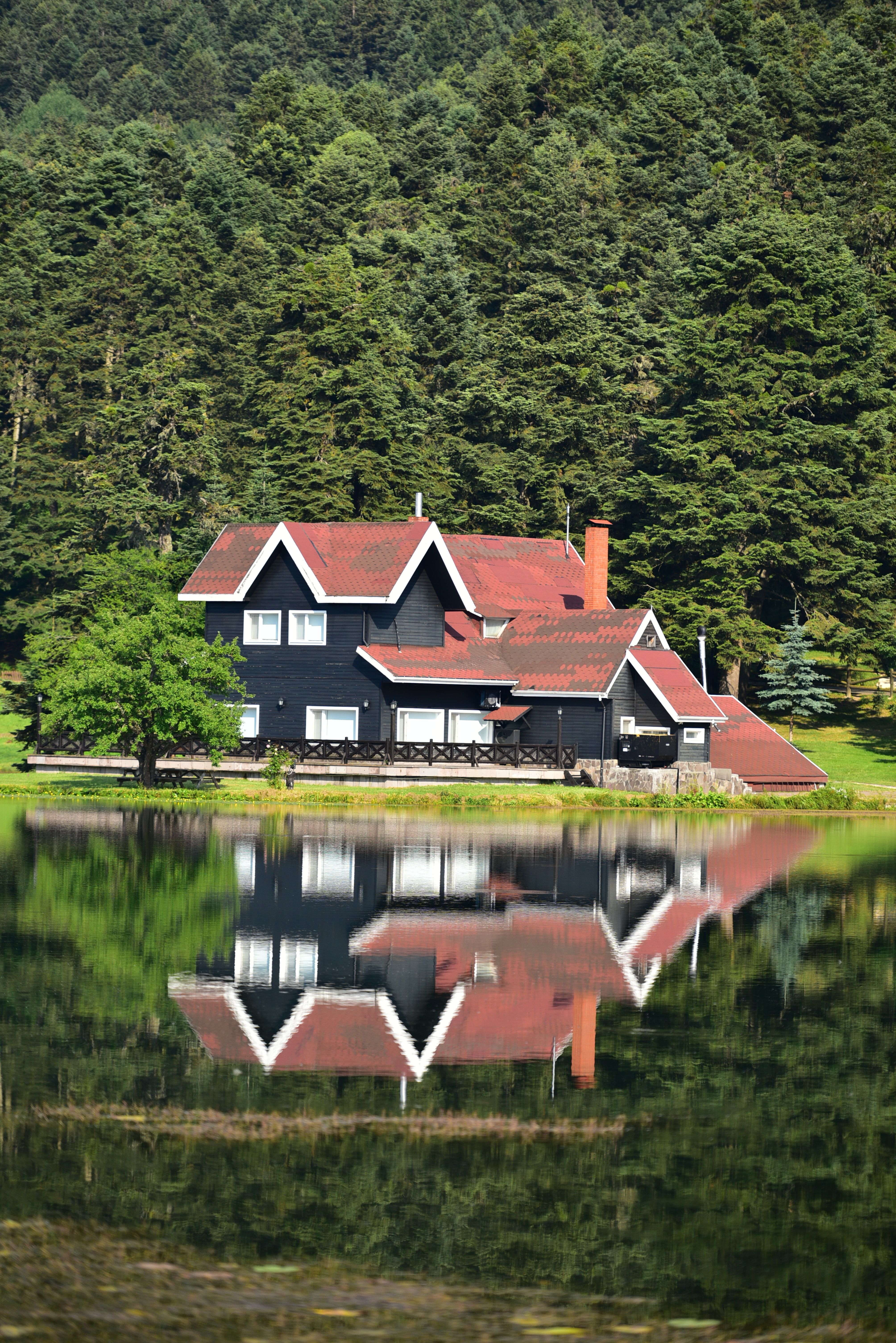 Black and Brown House Near Green Trees and Lake · Free Stock Photo