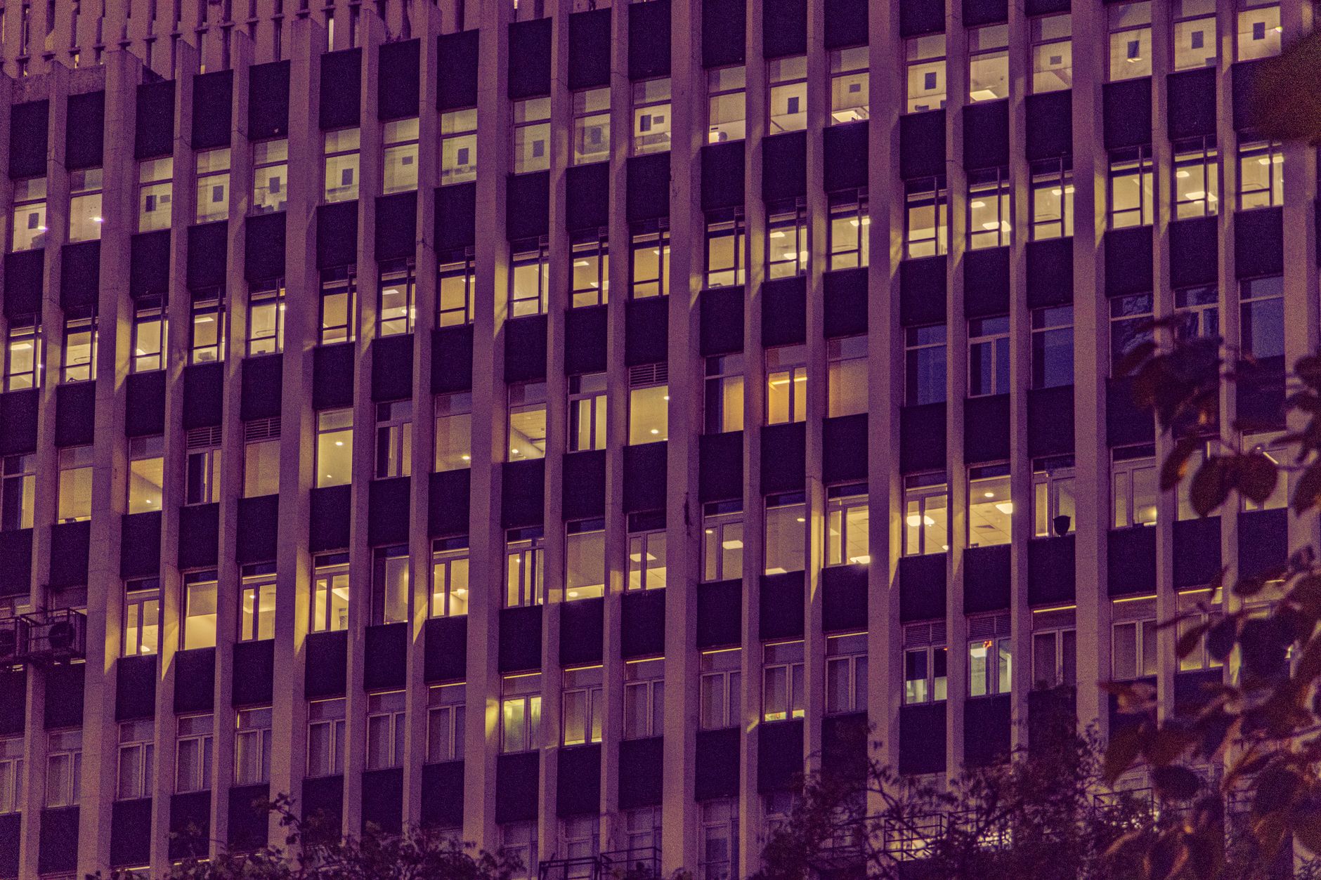 How Palo Alto Is Anchoring California AI Companies in 2026 How Palo Alto Is Anchoring California AI Companies in 2026