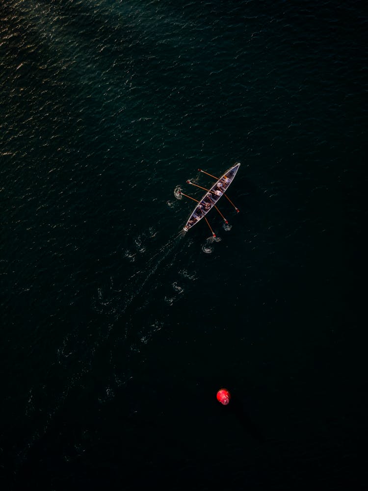 Aerial View Of Rowboat On Water