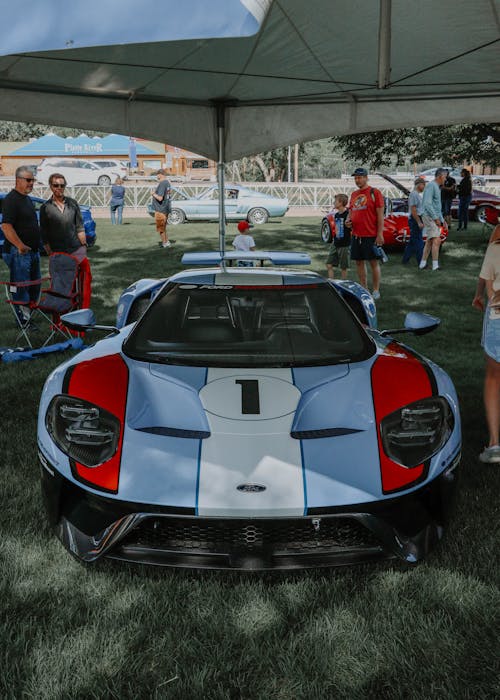 Ford GT in Racing Livery