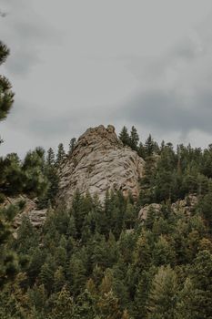 A serene forest landscape featuring a towering rocky formation amidst evergreen trees.