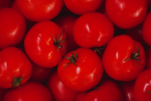 Bunch of Red Fresh Tomatoes