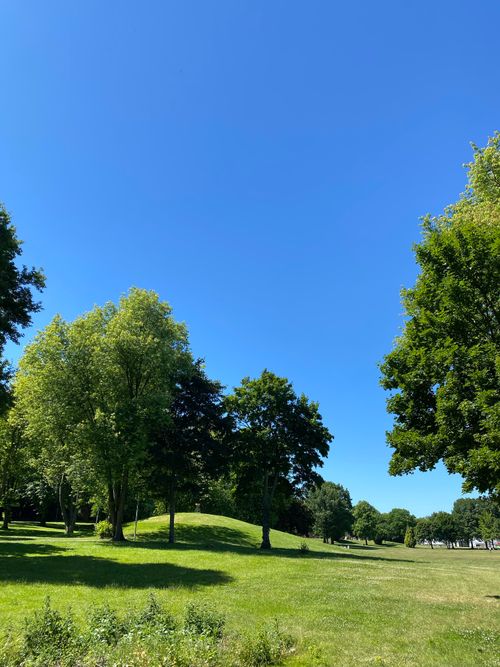 Free Lush golf course landscape with green grass and trees under a clear blue sky, captured in daylight. Stock Photo