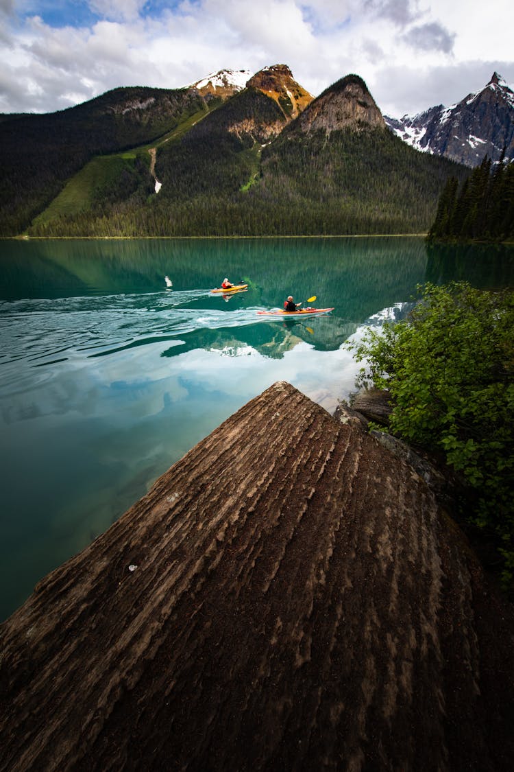 Group Of People On Kayak