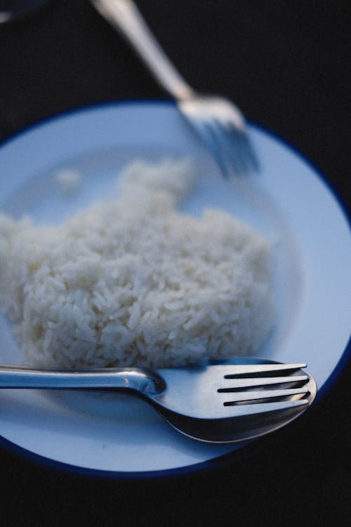 Gratis Fotos de stock gratuitas de arroz, bifurcaciones, comida Foto de stock