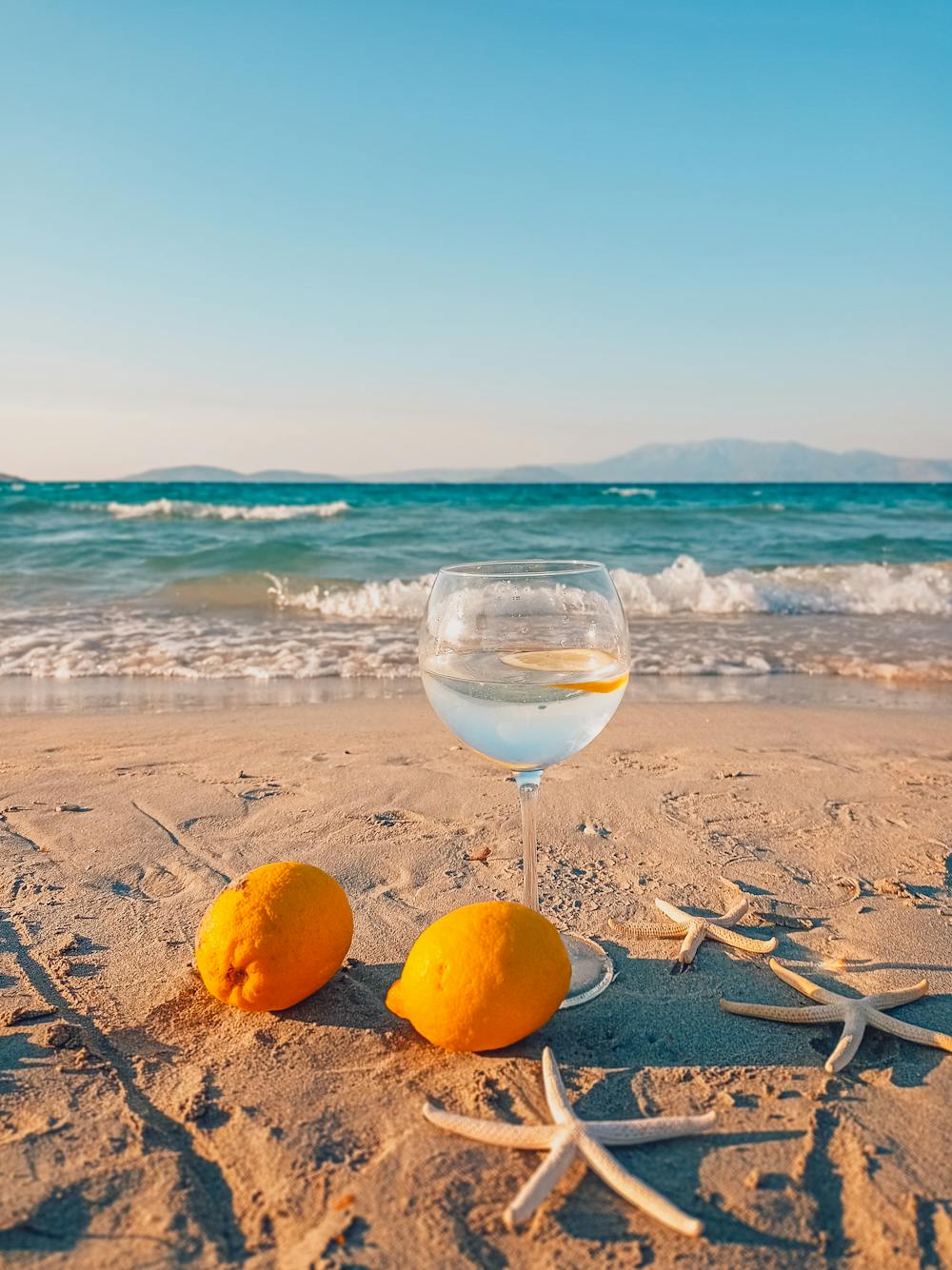 Refreshing Citrus Bliss Refreshing Citrus Bliss