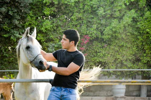 Man petting a Domesticated Horse