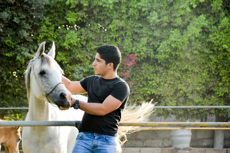 Man Petting A Domesticated Horse