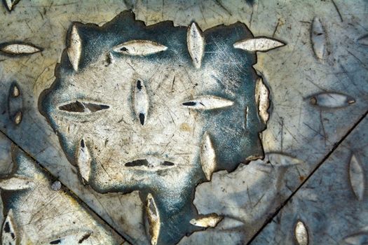 Brown Dried Leaves With Water Droplets