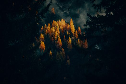 A captivating aerial view of a vibrant autumn forest surrounded by misty atmosphere.