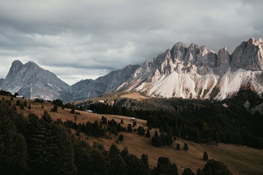 A breathtaking view of jagged mountain peaks and lush pine forests under a cloudy sky.