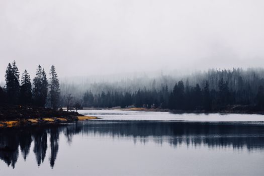 Serene image of a misty lake reflecting a fog-covered forest, creating a tranquil natural scene.