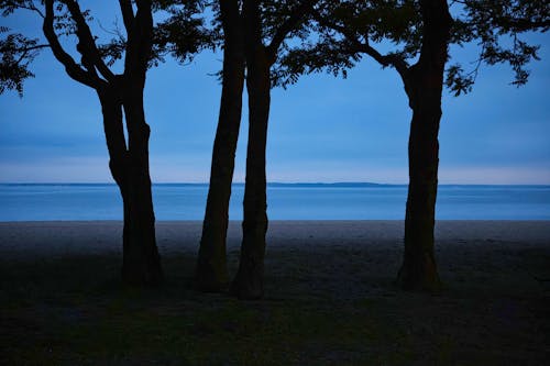 Kostenloses Stock Foto zu bäume, blau, bucht inselpark