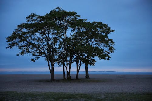 Kostenloses Stock Foto zu bäume, blau, bucht inselpark