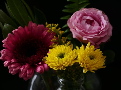 Free stock photo of flowers Stock Photo