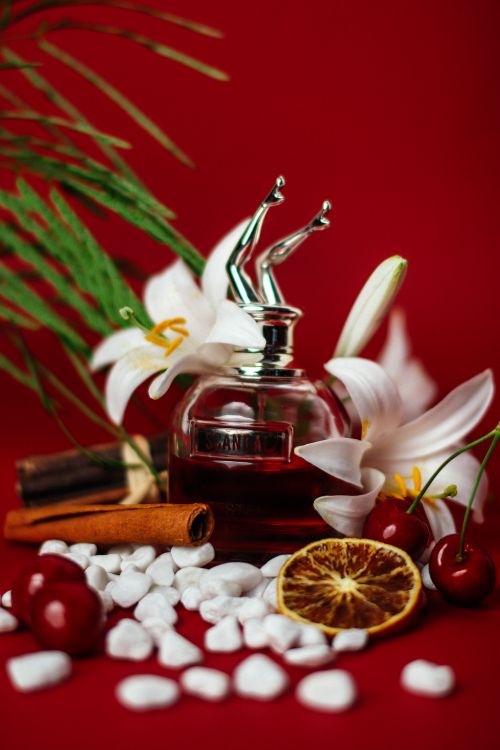 Free Still life of a perfume bottle with lilies, dried citrus, cherries, and cinnamon on a red background. Stock Photo