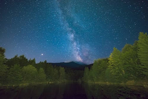 Scenic View Of Trees Beside A Lake Under Night Sky