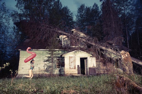Woman with Inflatable Flamingo Pool Float Running by an Abandoned House with Fallen Tree