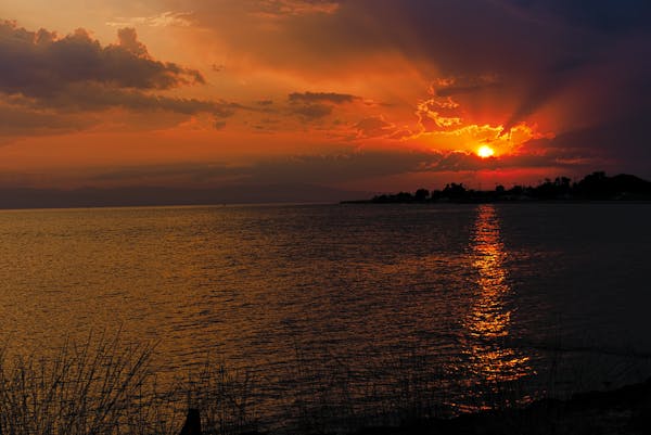 Premium flour and grains