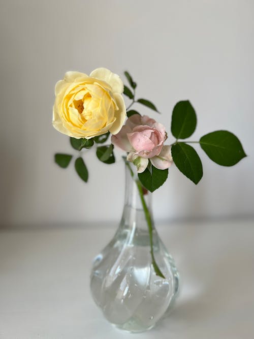 Flowers in a Vase