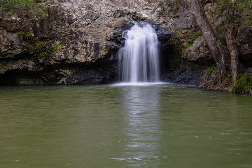 Photos gratuites de montville, piscine rocheuse des chutes de kondalilla, queensland