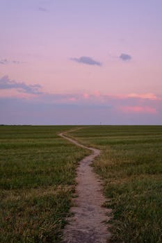 A tranquil dirt path through a grassy field under a beautiful sunset sky.