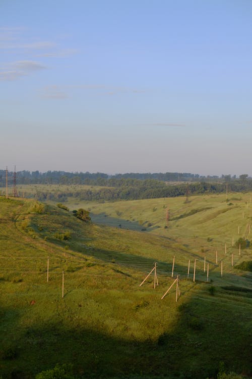 Landscape of Green Fields