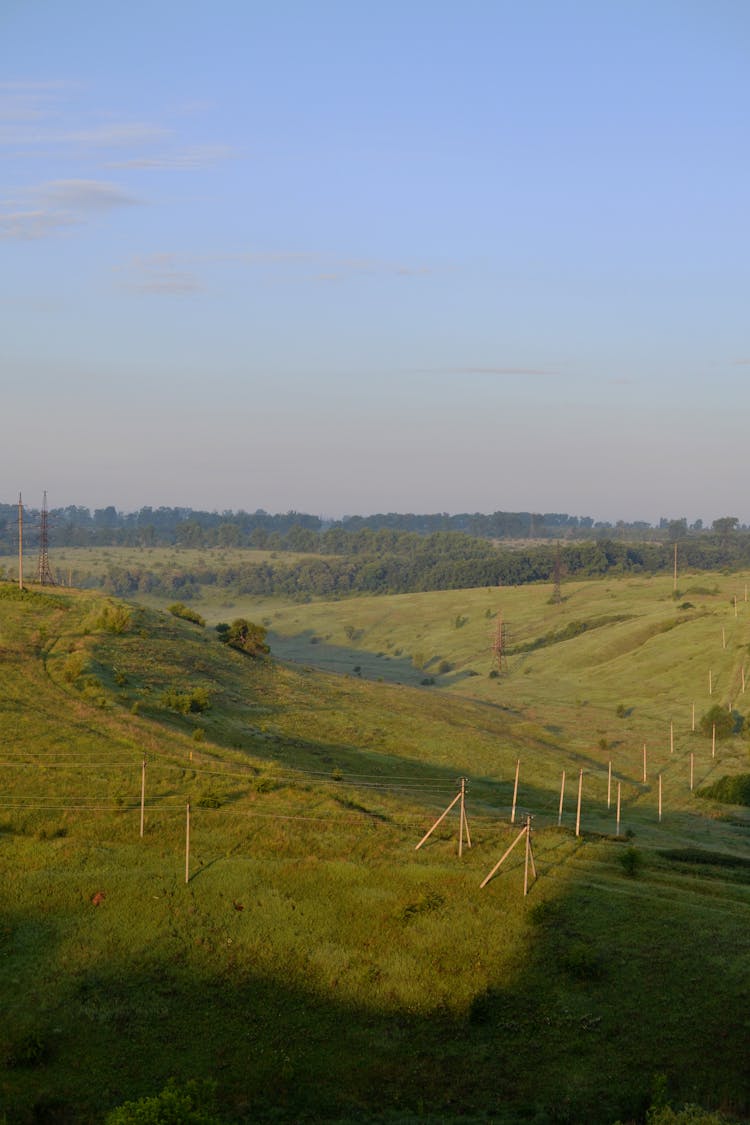 Landscape Of Green Fields