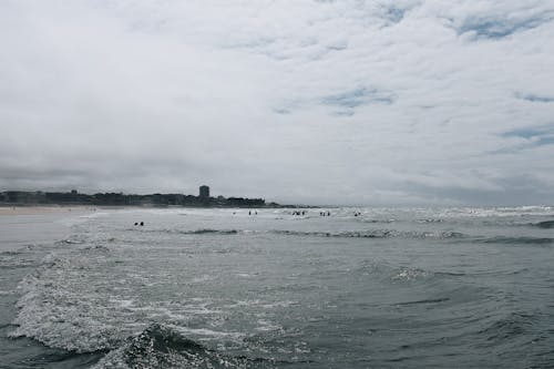 People Swimming on the Sea during Summer