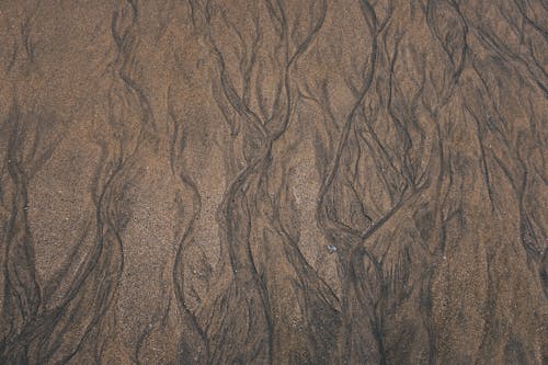 Free Top View of Wet Beach Sand Stock Photo