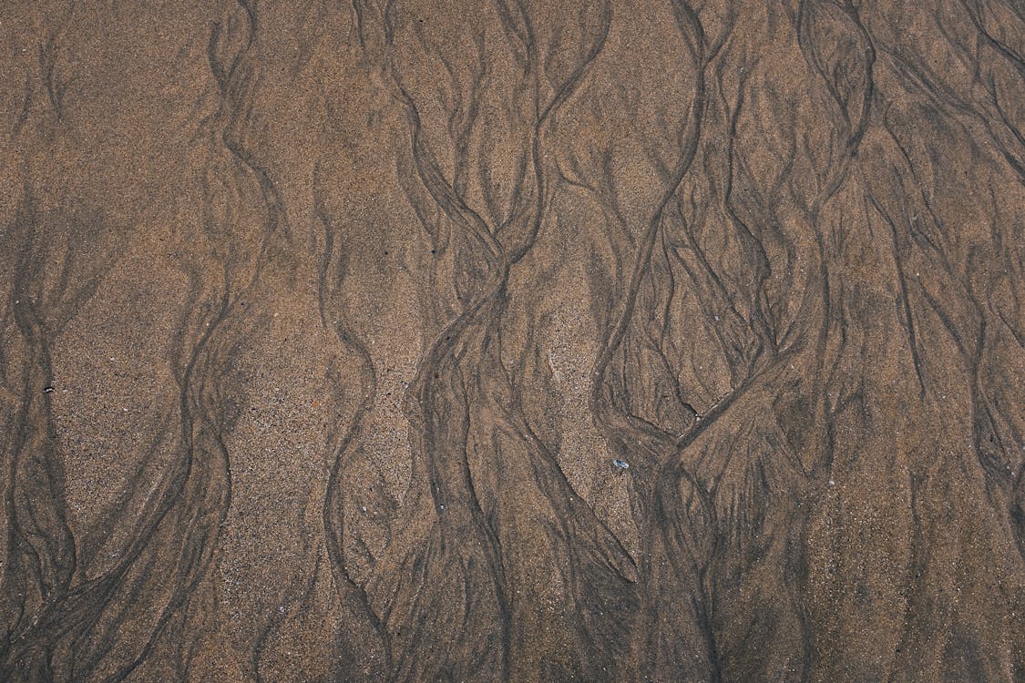 Top View of Wet Beach Sand
