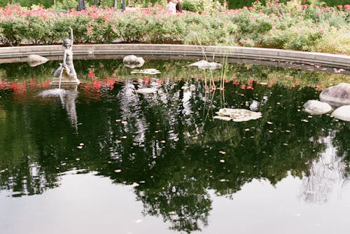 A Fountain Statue in a Water Pond