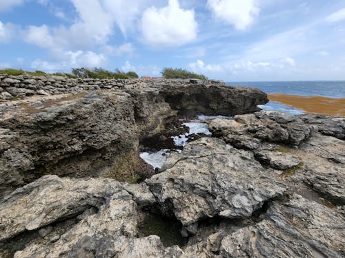 Free stock photo of beach, cliff