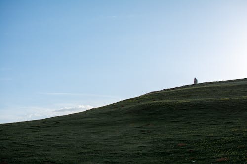 A Landscape under a Clear Blue Sky