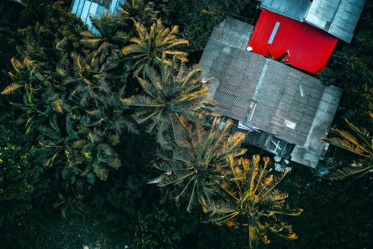 Photo by Pok Rie Drone shot capturing lush palm trees surrounding houses with vibrant roofs.
