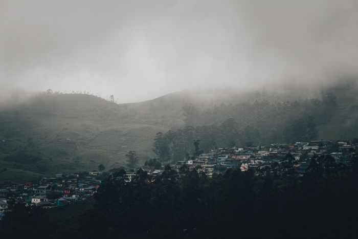 Munnar lush forest landscape