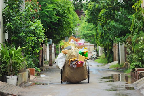 Fotos de stock gratuitas de árboles verdes, basura, calle