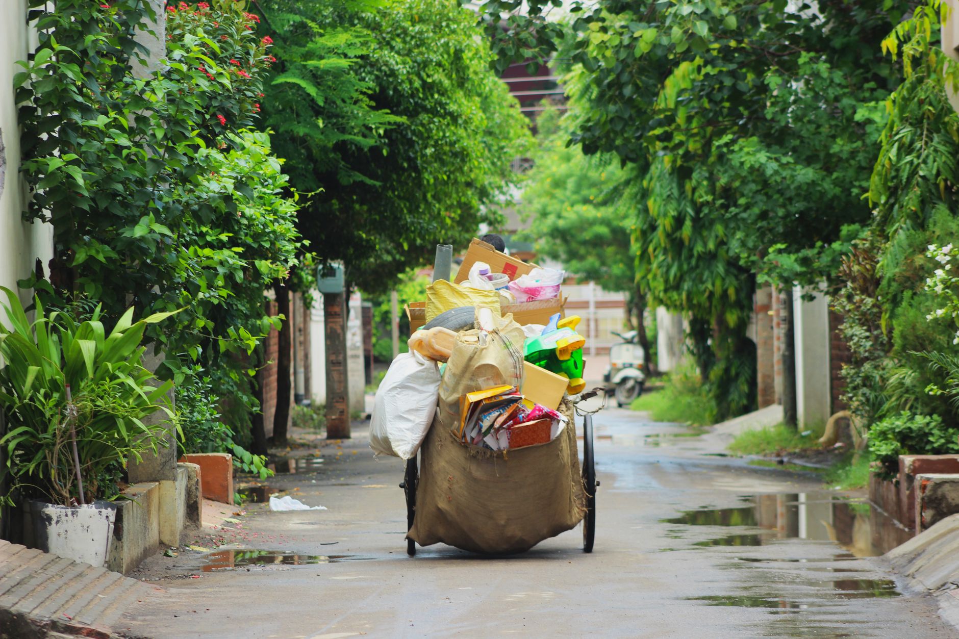 MCG orders faster garbage lifting as Gurgaon clears strike backlog