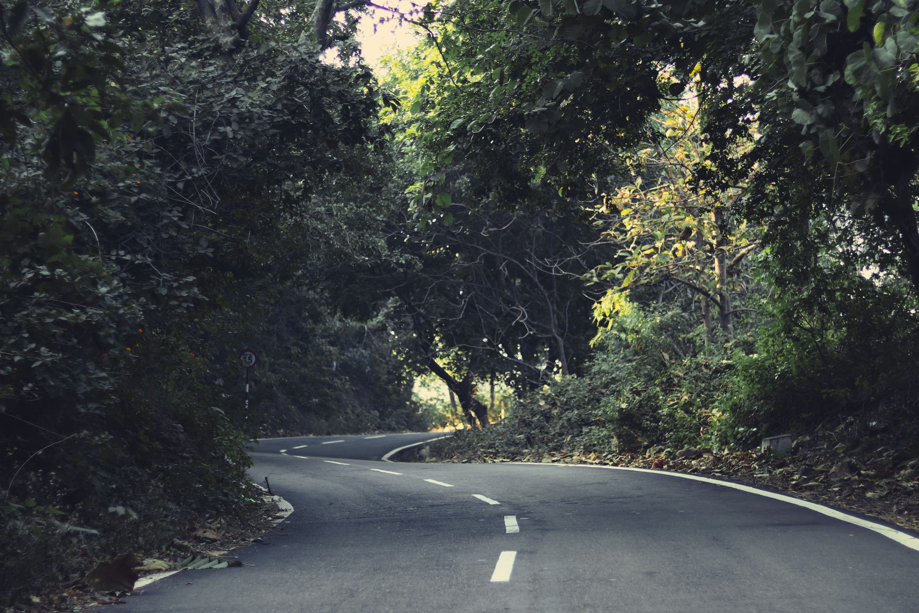 Manesar to Sohna by Road: A Half-Day Countryside Loop