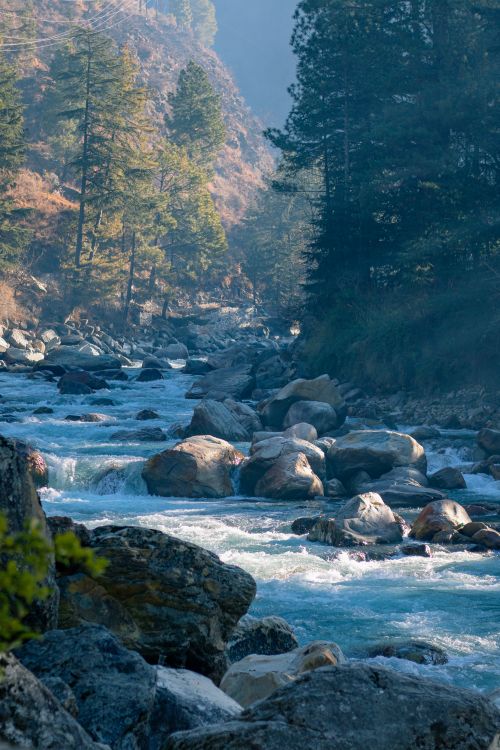 Free Beautiful river flowing through boulders and pine trees in Kasol, Himachal Pradesh, India. Stock Photo