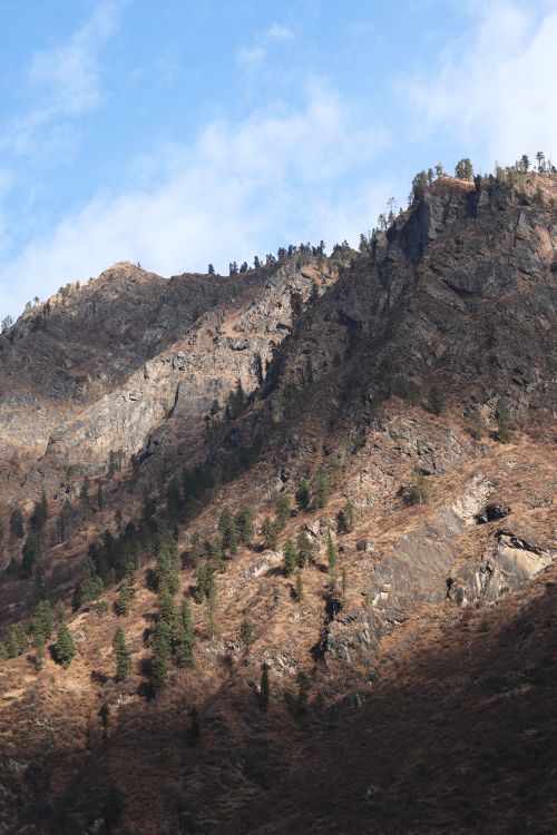Free Stunning view of the rocky Himalayas with trees in Sosan, HP, India. Stock Photo