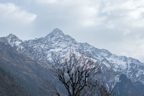 Free Majestic view of Raldang Peak in Sosan, India with snow-covered mountains and a leafless tree. Stock Photo
