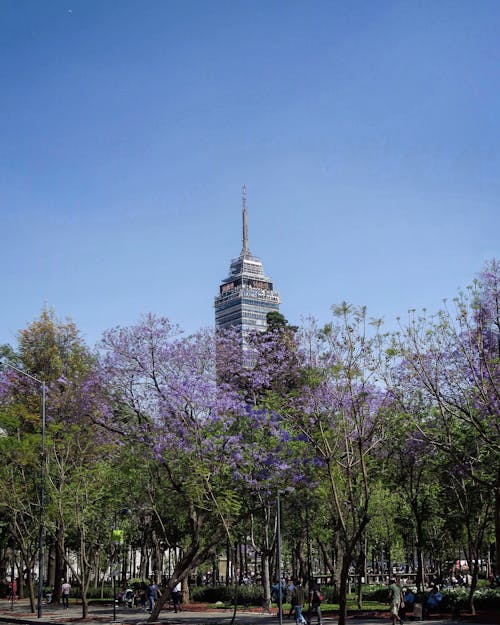 Ilmainen kuvapankkikuva tunnisteilla arkkitehti, kuva alakulmasta, latinalaisamerikkalainen torni