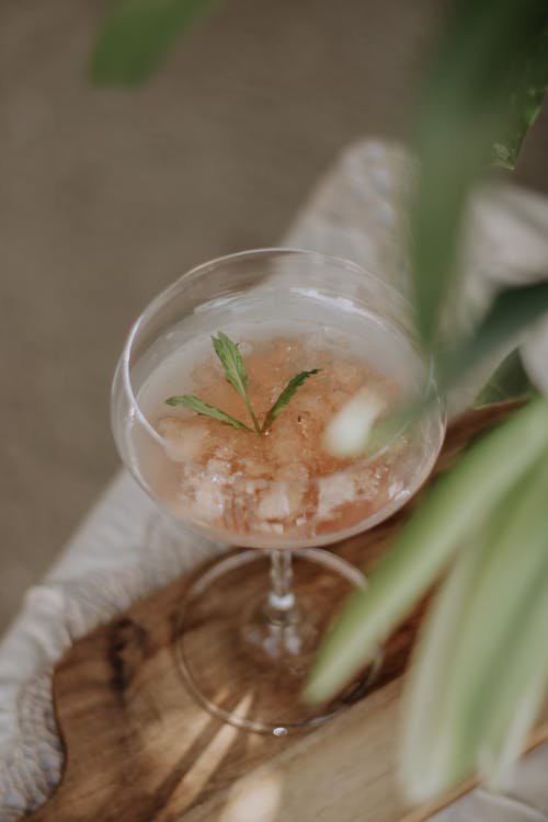 Ảnh lưu trữ miễn phí về chén, cocktail, lá