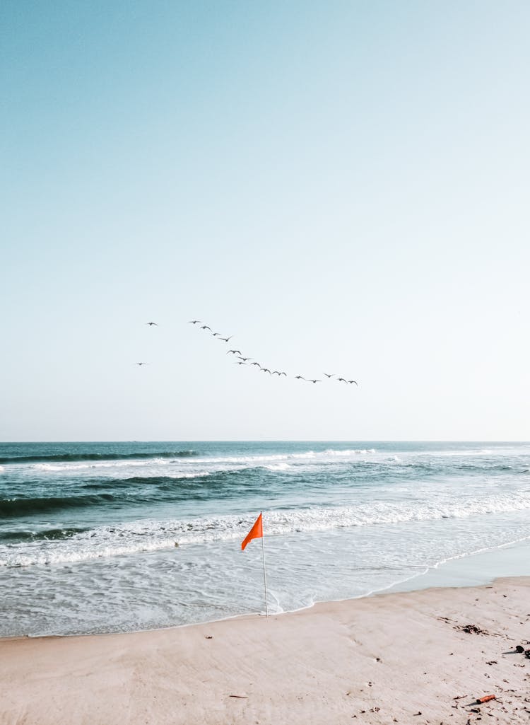 A Flag On The Beach Shore