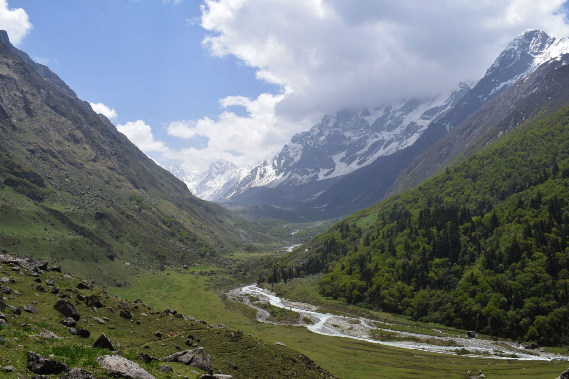 Stunning Himalayan valley with lush green meadows and snow-capped peaks.