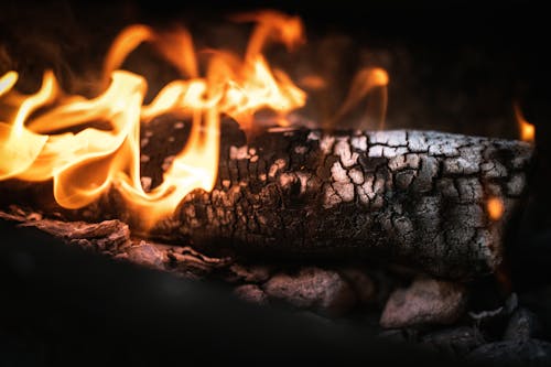 無料 ホット, 木炭, 火の無料の写真素材 写真素材