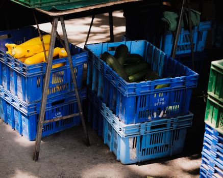 Colorful display of fresh squash and zucchini in blue crates at a farmers market.