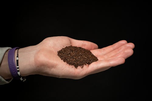 Ground Coffee on a Person's Palm 